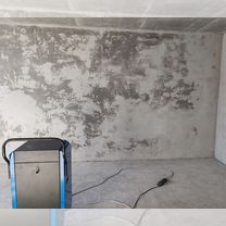 Механизированная штукатурка стен без посредников, Хабаровск
